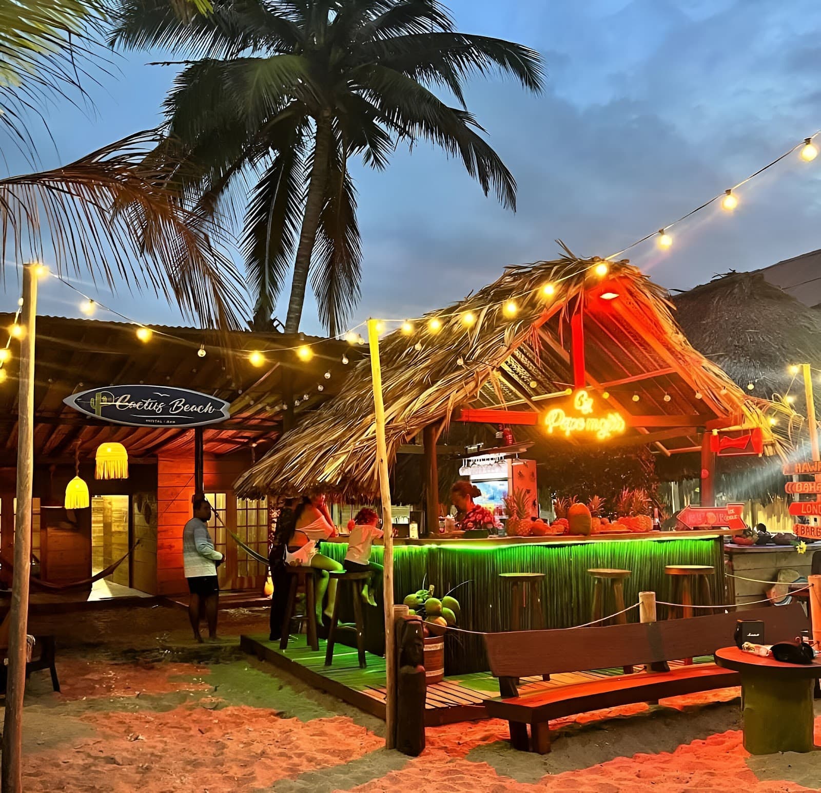 Mendihuaca Beach - Image 1