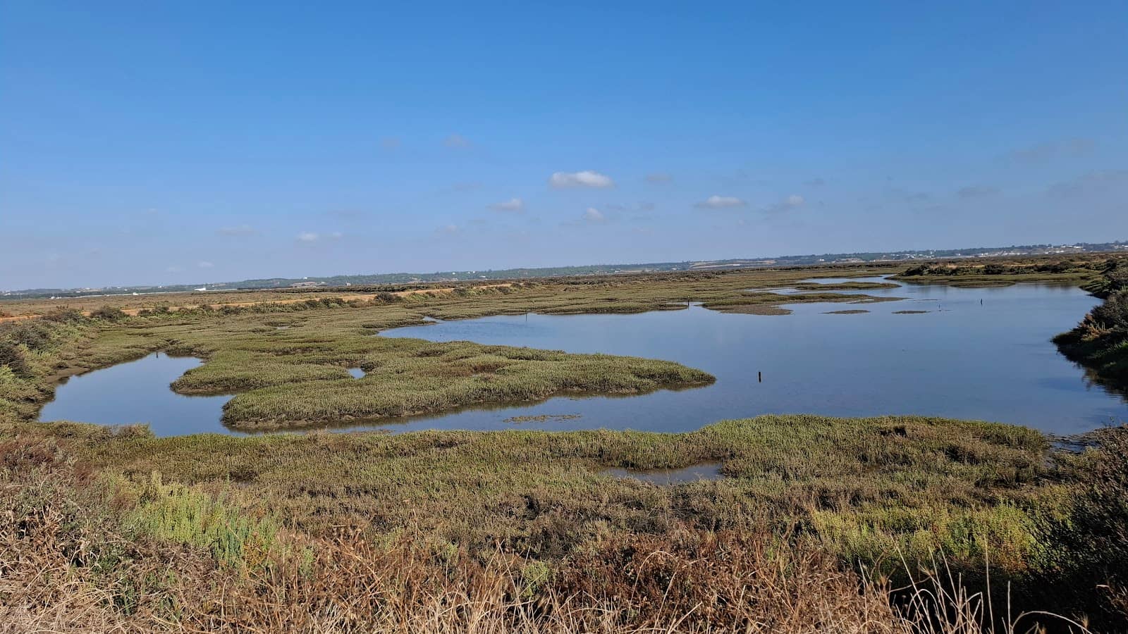Guadiana and Carreras River Estuaries