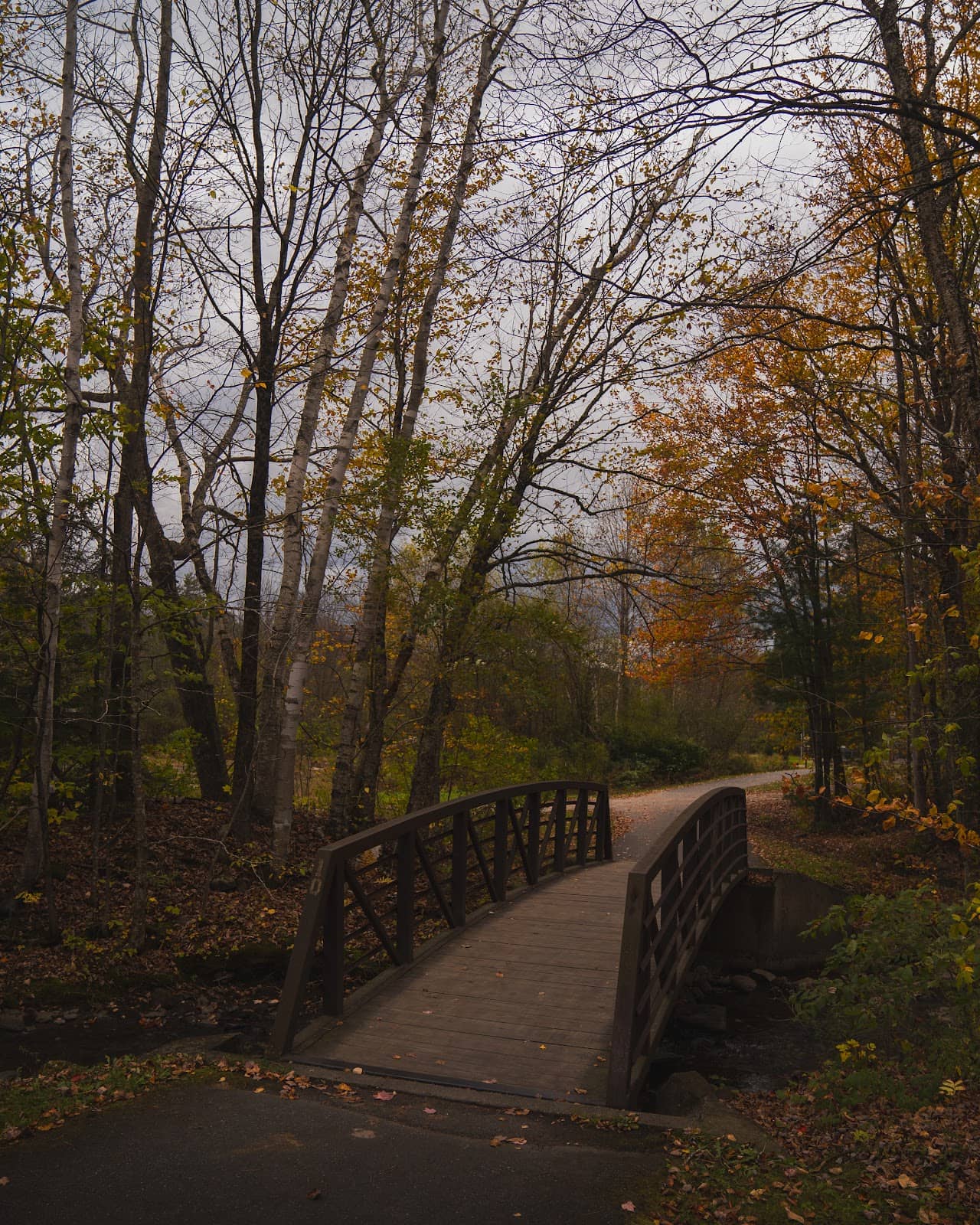 Autumn Foliage