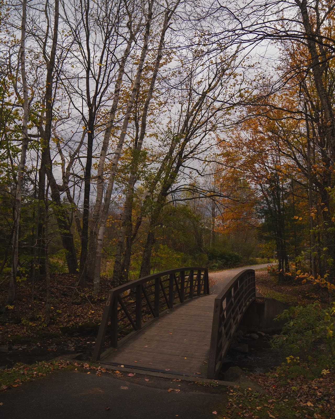 Stowe Recreation Path - Image 1