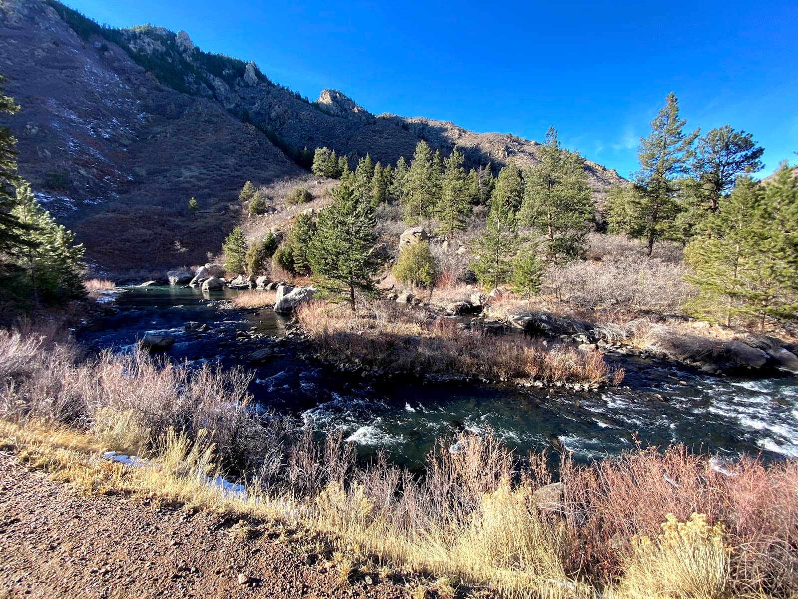 South Platte River Views