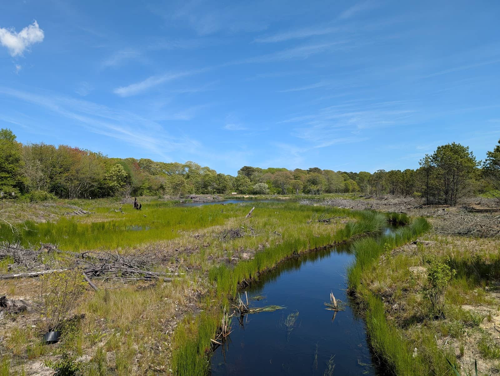 Pond Views with Bridges