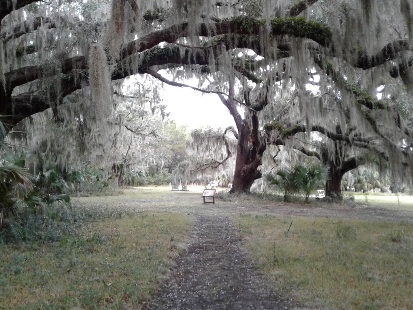 Cannon's Point Preserve - Image 1