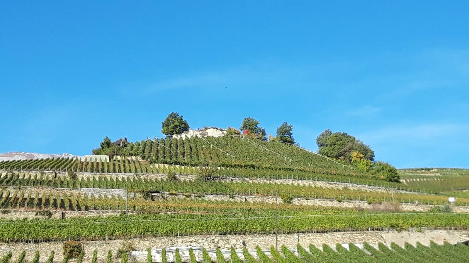 Charming Village Life