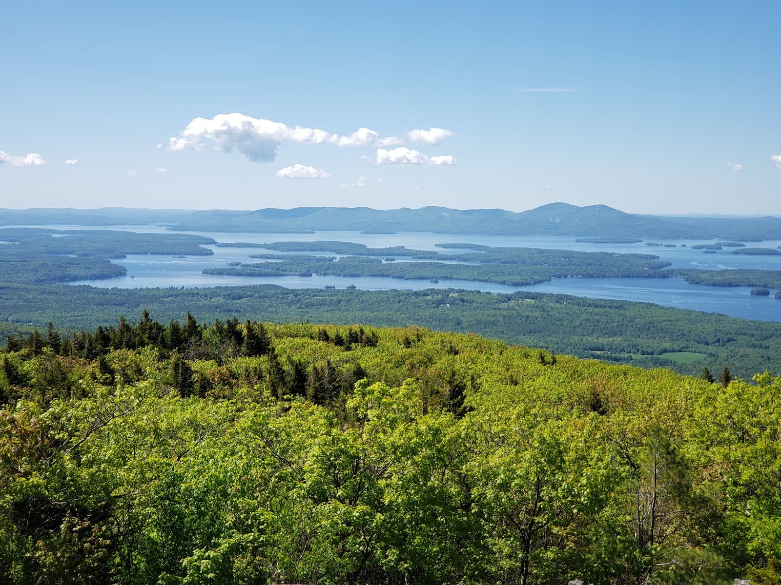 Mount Roberts - Image 1