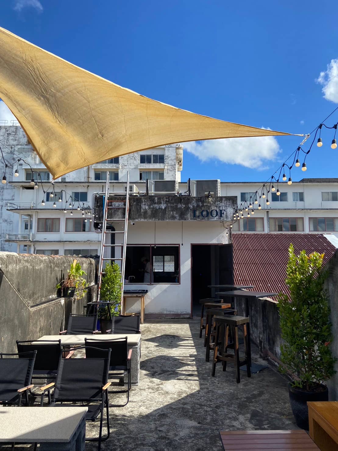 Chilled Atmosphere & Live Music