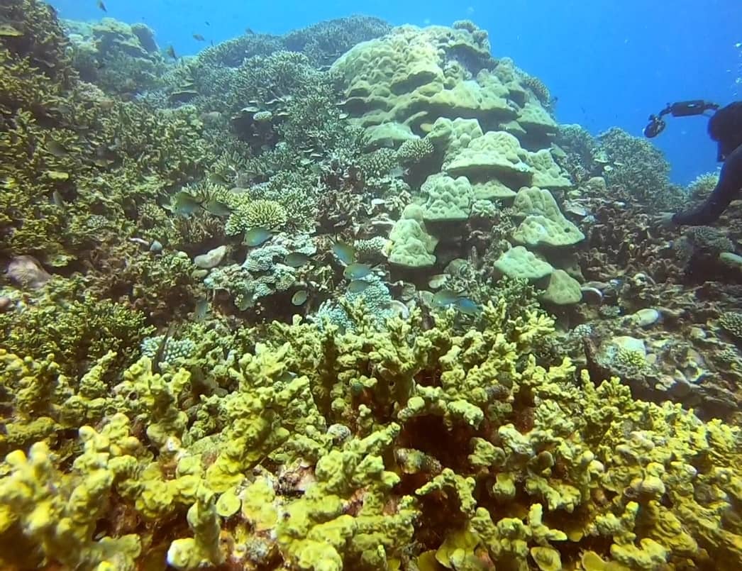 Historical Dive Site