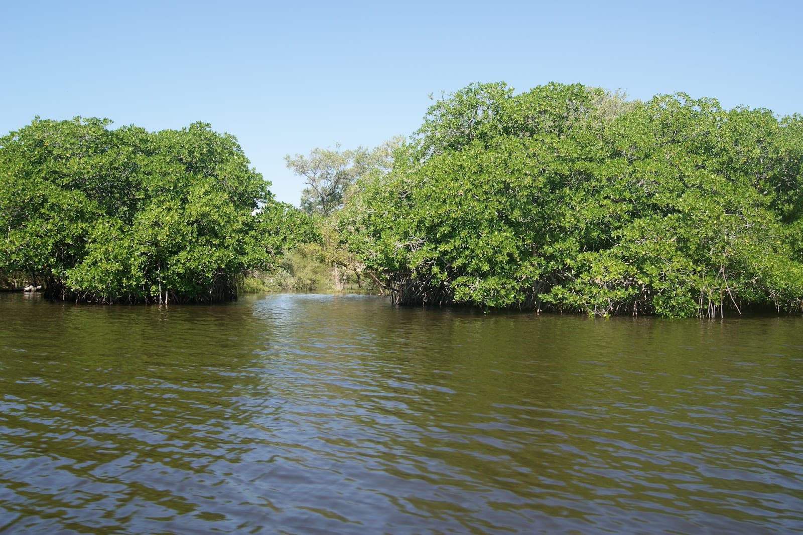 Laguna de Potosí - Image 1
