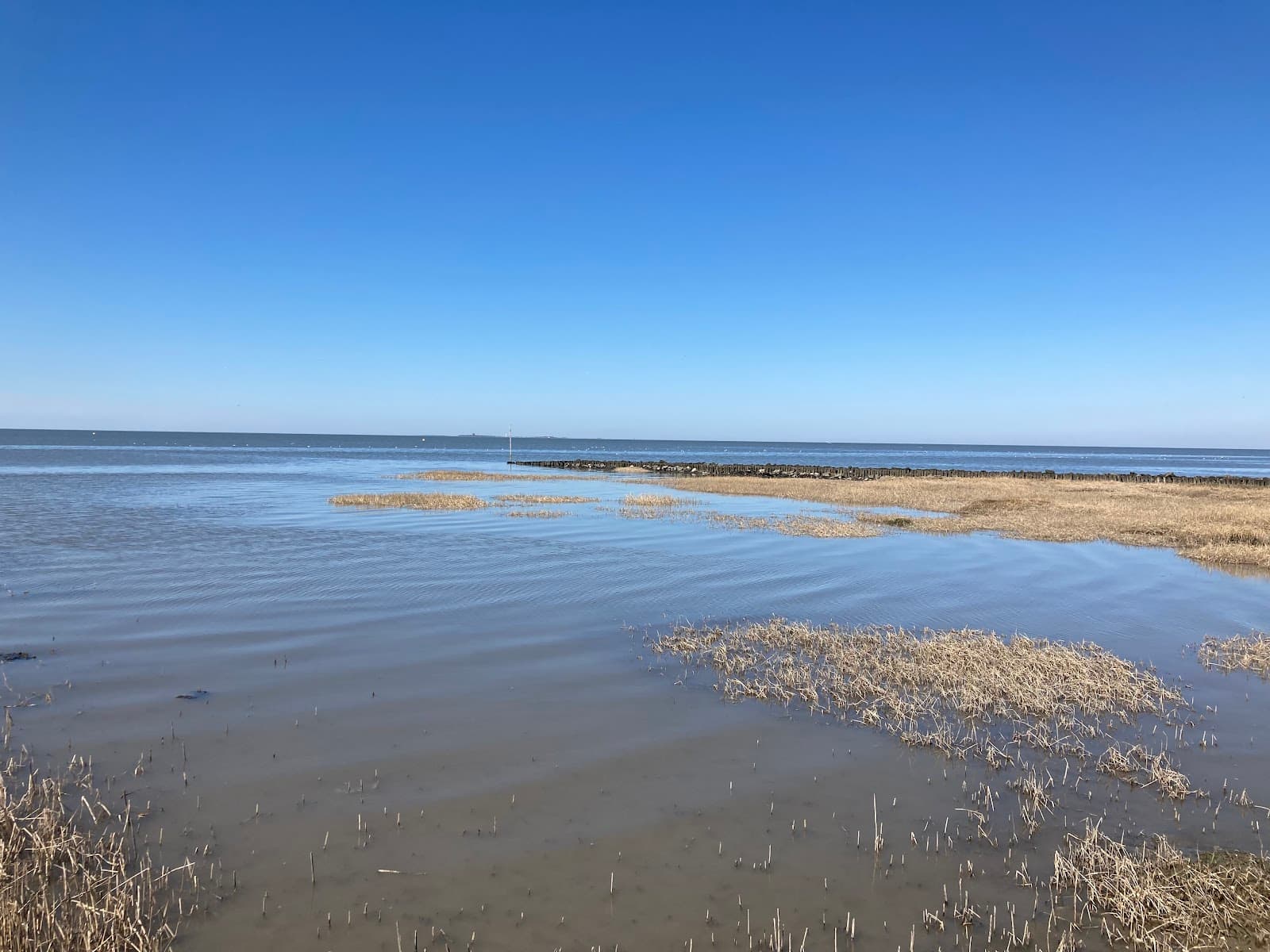 Lower Saxony Wadden Sea (Cuxhaven Tidelands) - Image 1