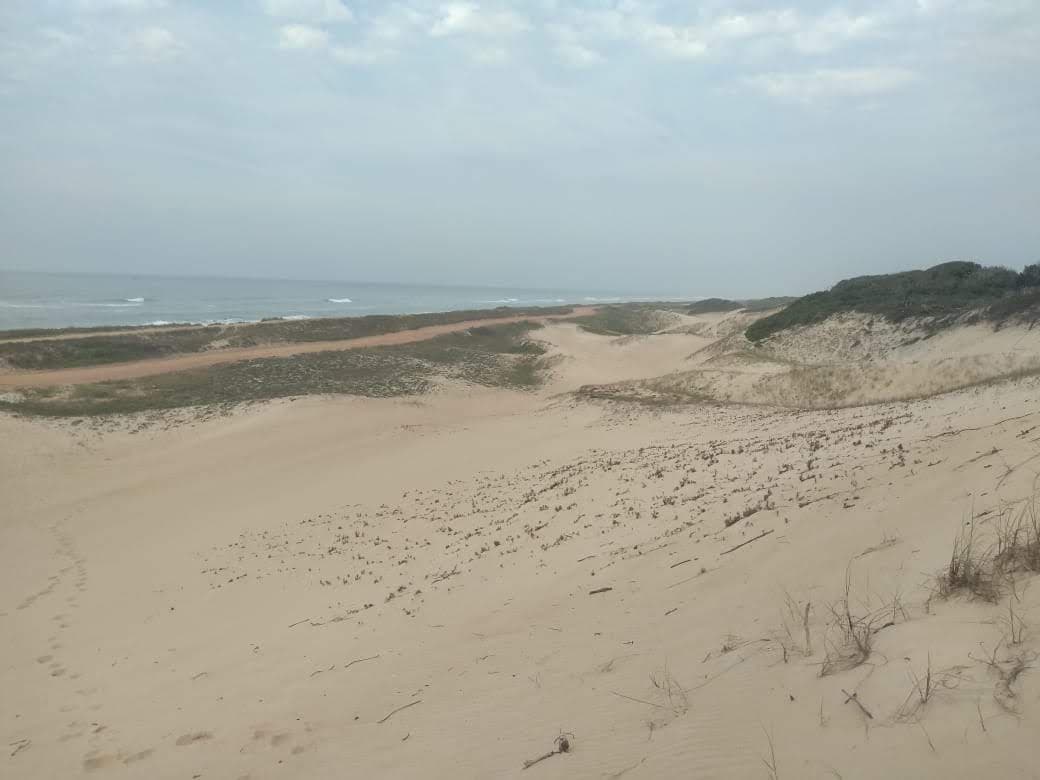 Trilha da Praia Grande Acaraí - Image 1