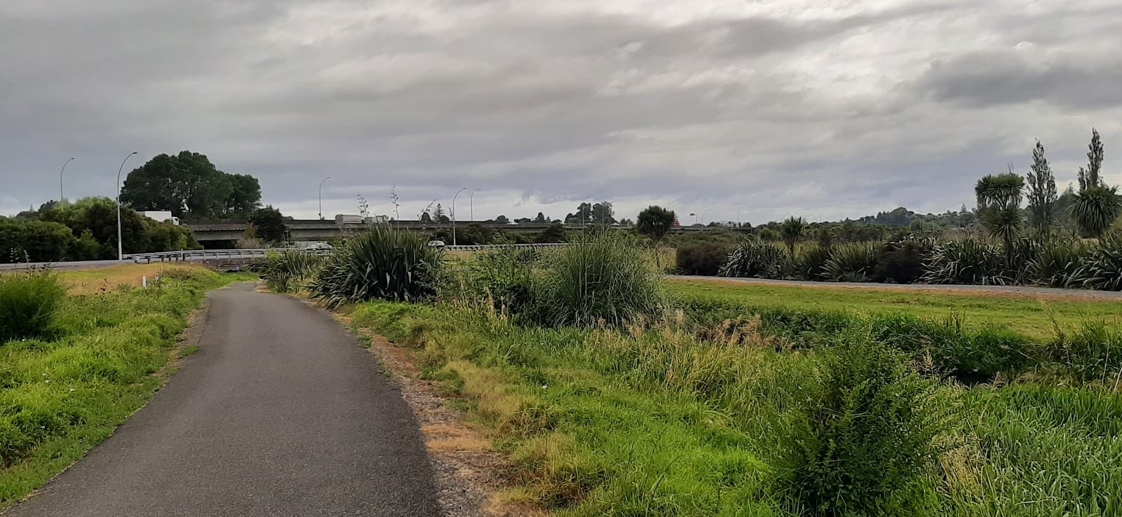 Kopurererua Valley Reserve - Image 1
