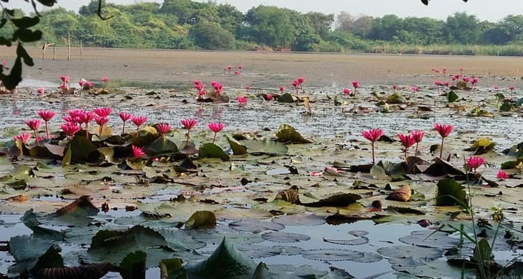 Gavier Lake - Image 1