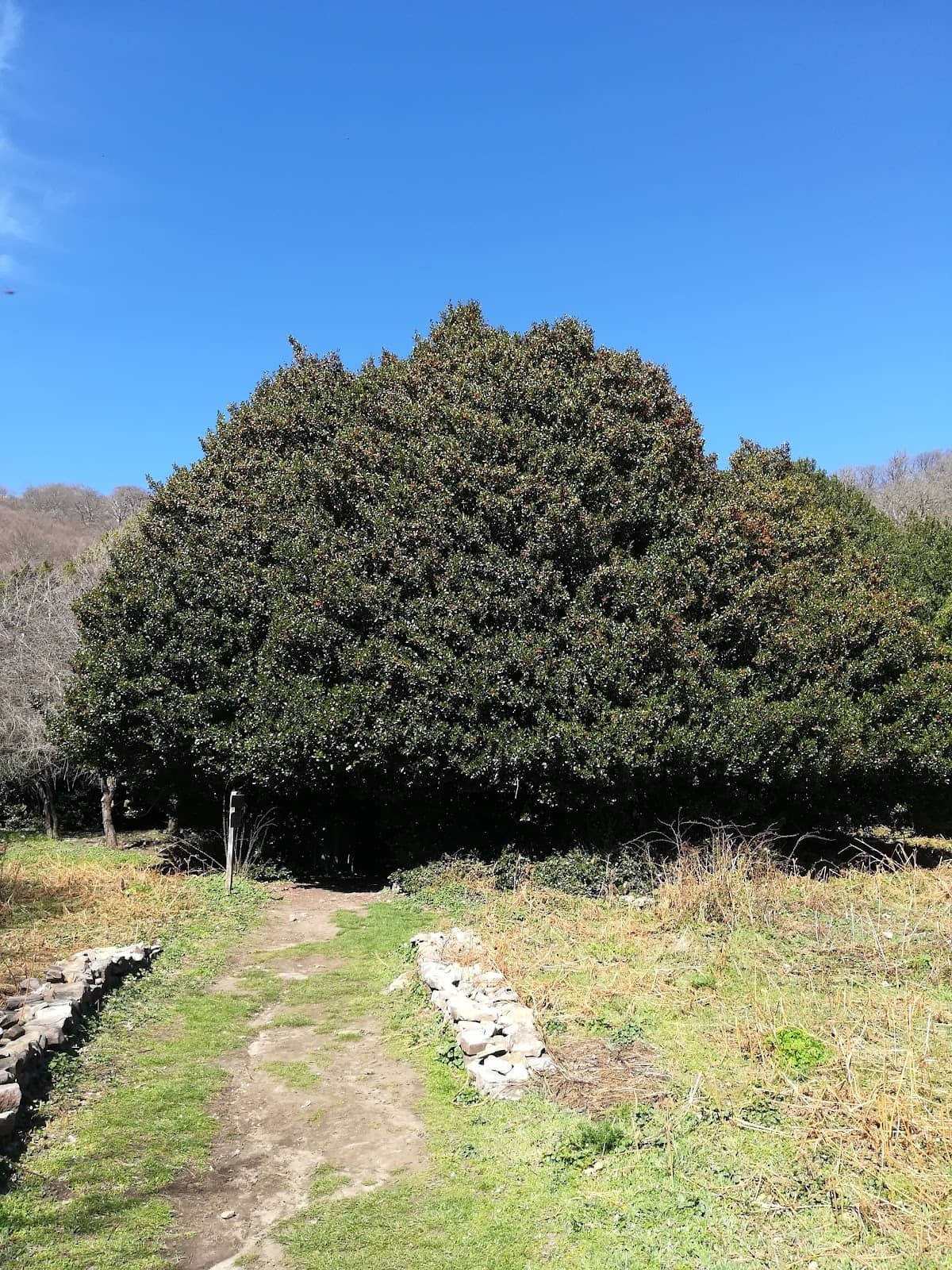 Madonie Mountain Landscape