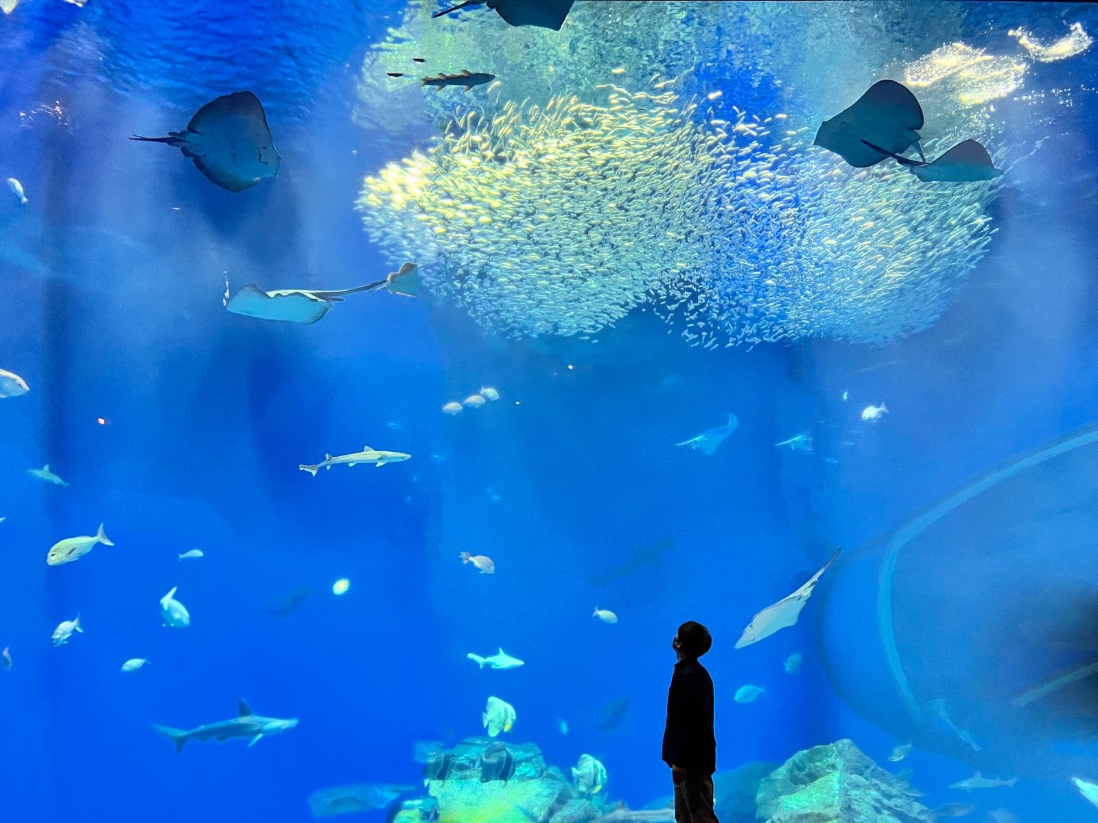 Aqua World Oarai - Image 1