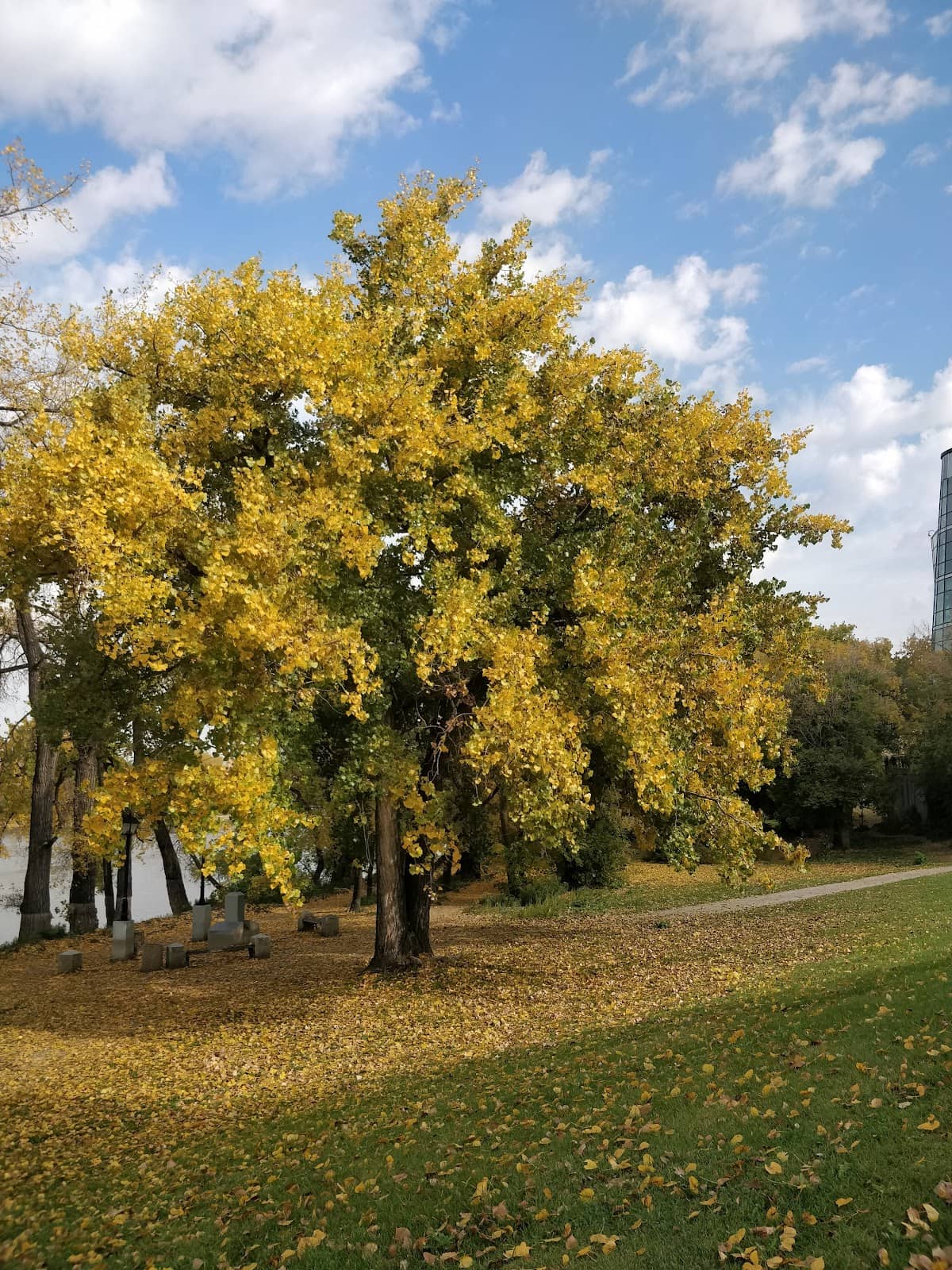 Riverside Patios