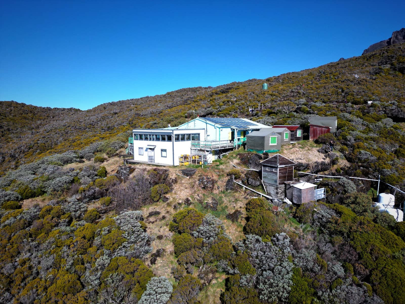 Shared Dormitory Experience