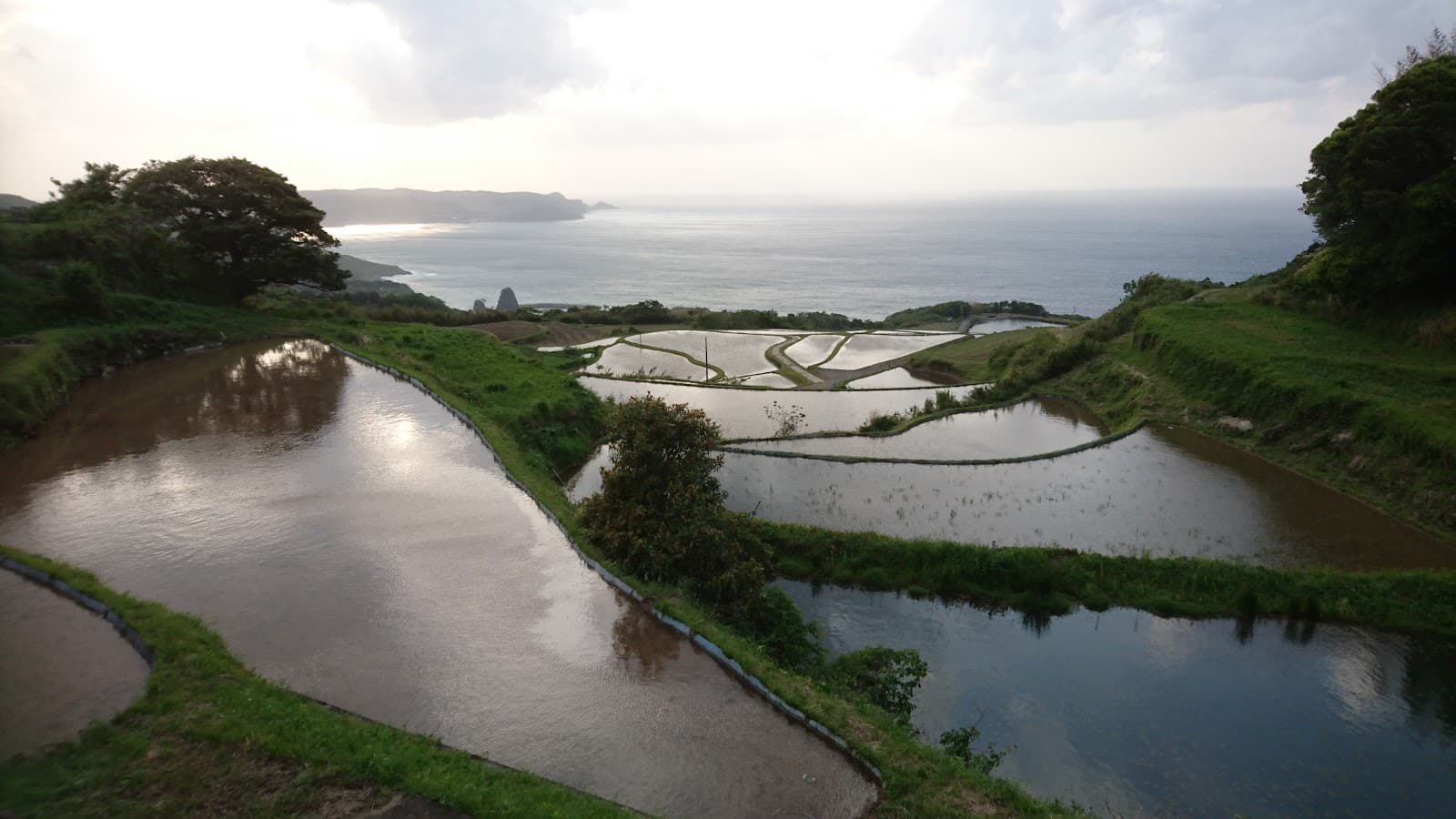 Higashi Ushirobata Rice Terraces - Image 1