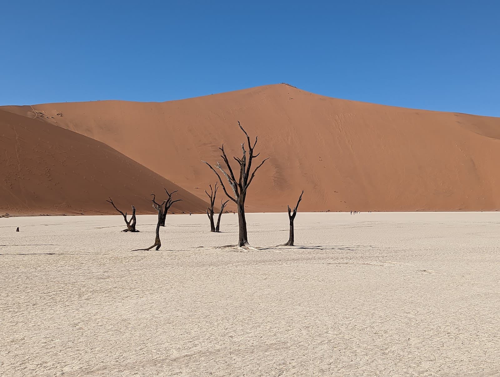 Deadvlei - Image 1