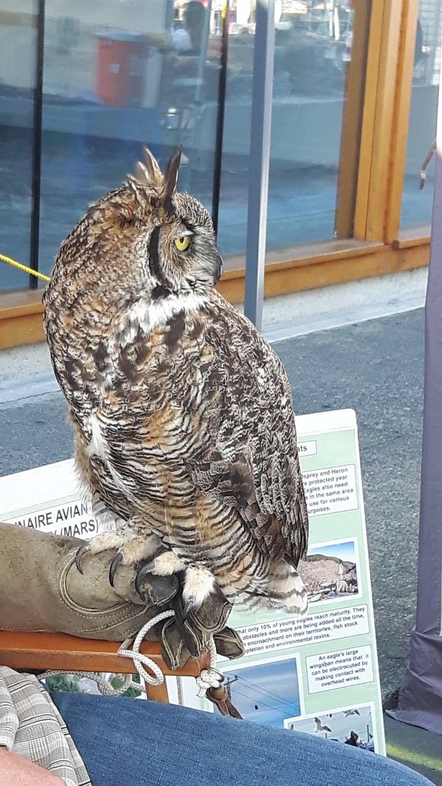 Miami River Panorama