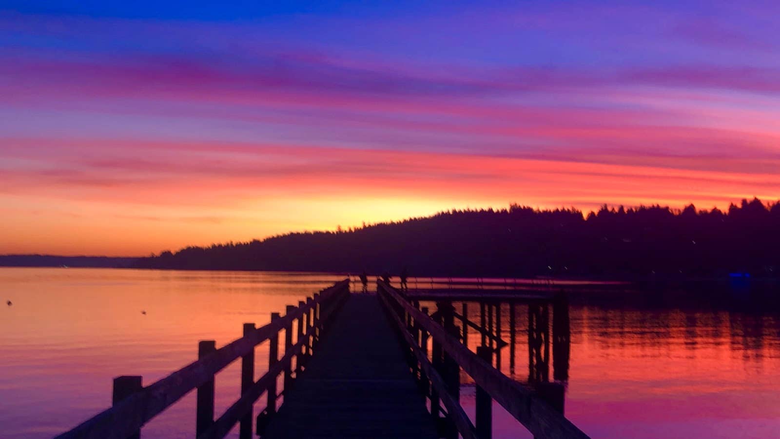 Peaceful Park Setting