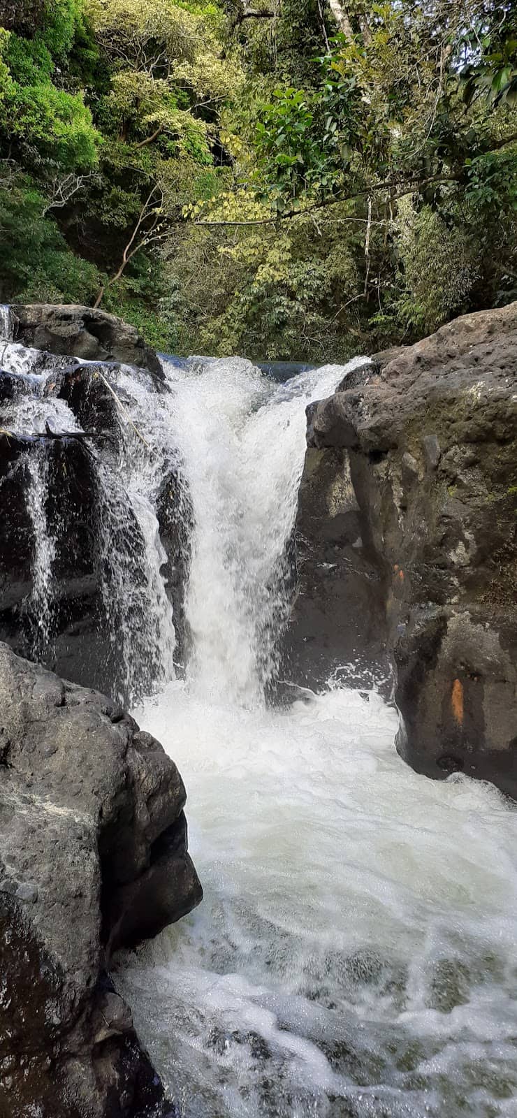 Picnic and Relaxation Spots