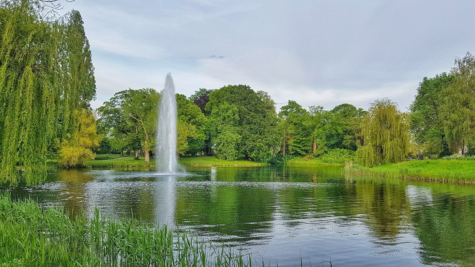Rijsterborgherpark - Image 1