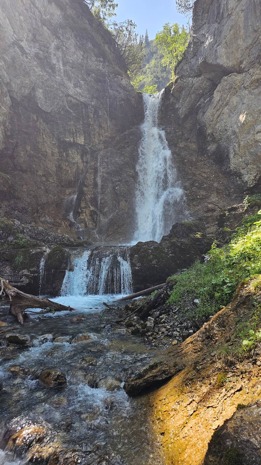Vertical photo