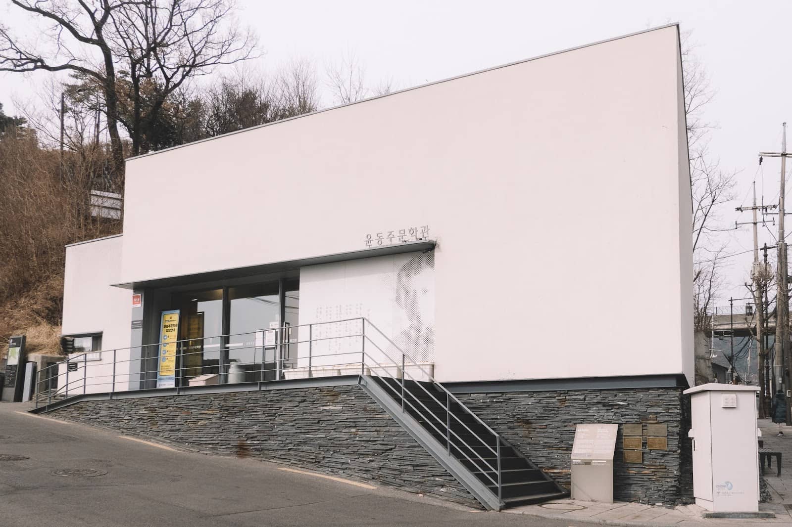 The 'Starry Night' Garden