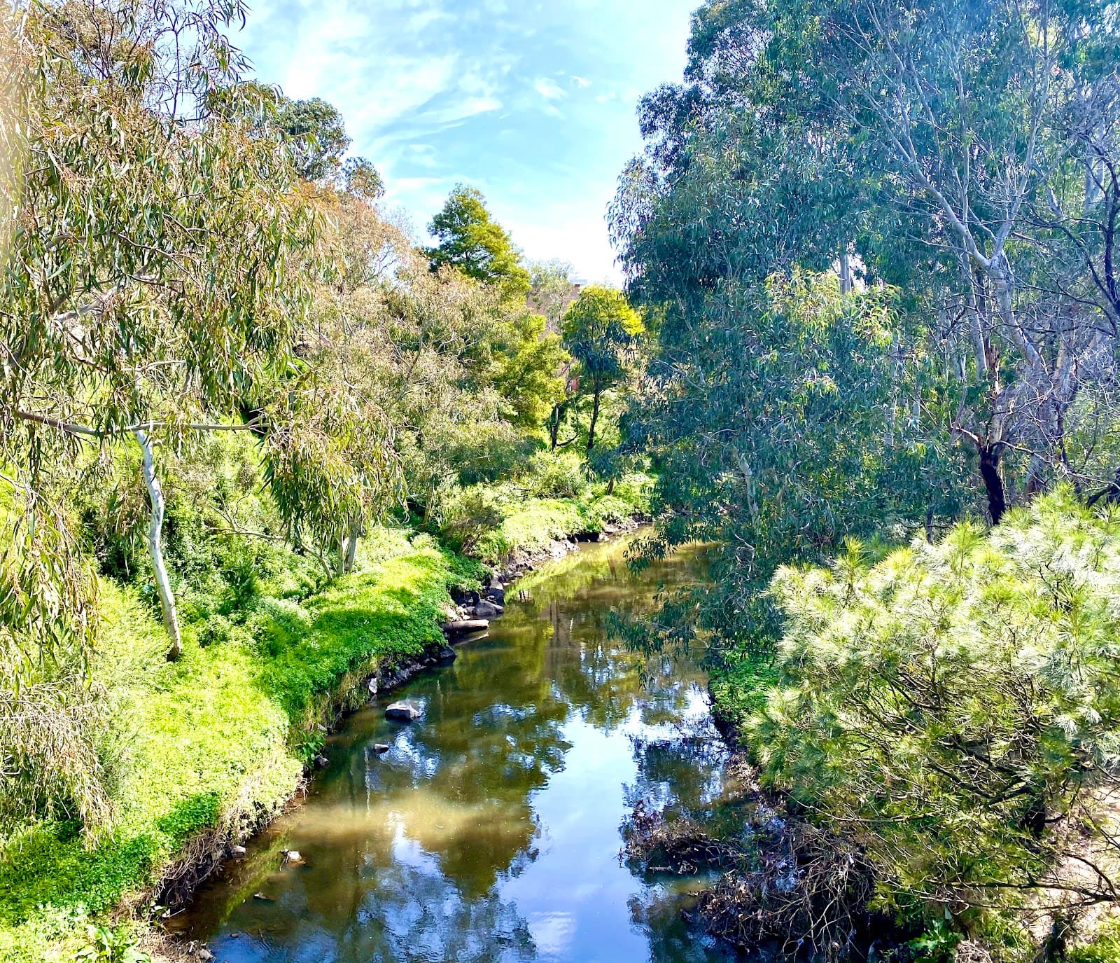 Rushall Reserve - Image 1