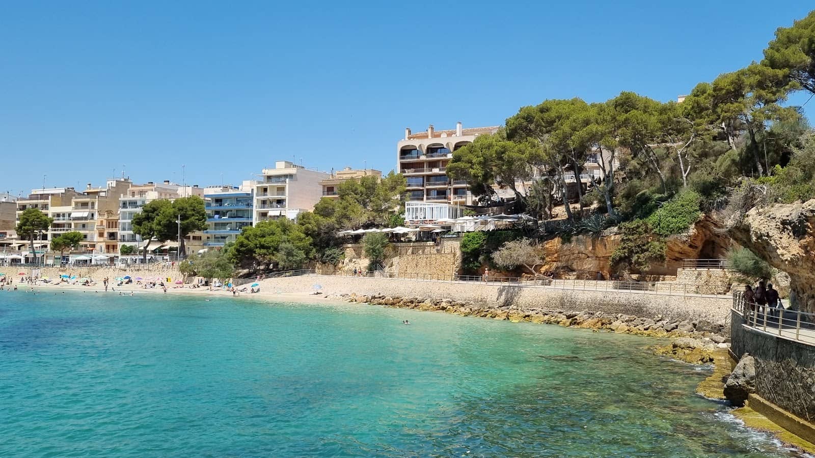 Cuevas dels Hams