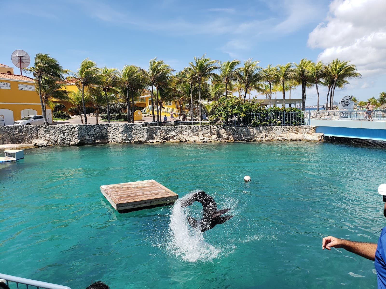 Curaçao Sea Aquarium - Image 1