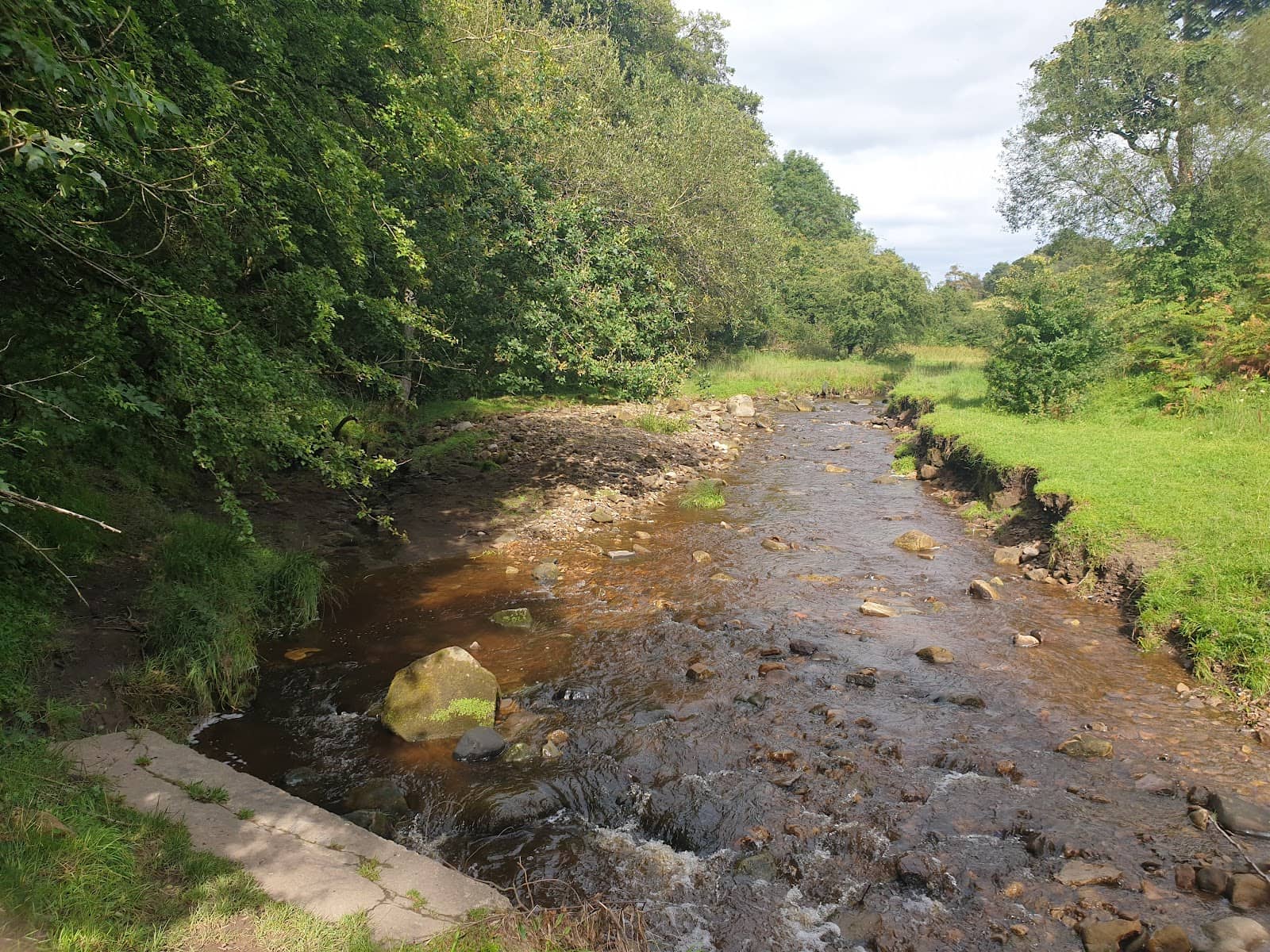 River Irwell Source