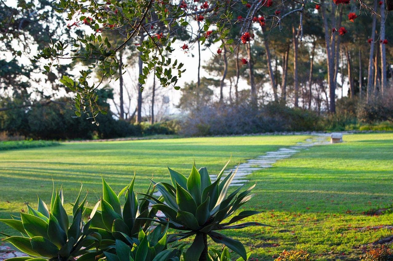 Ramat Hanadiv Gardens - Image 1