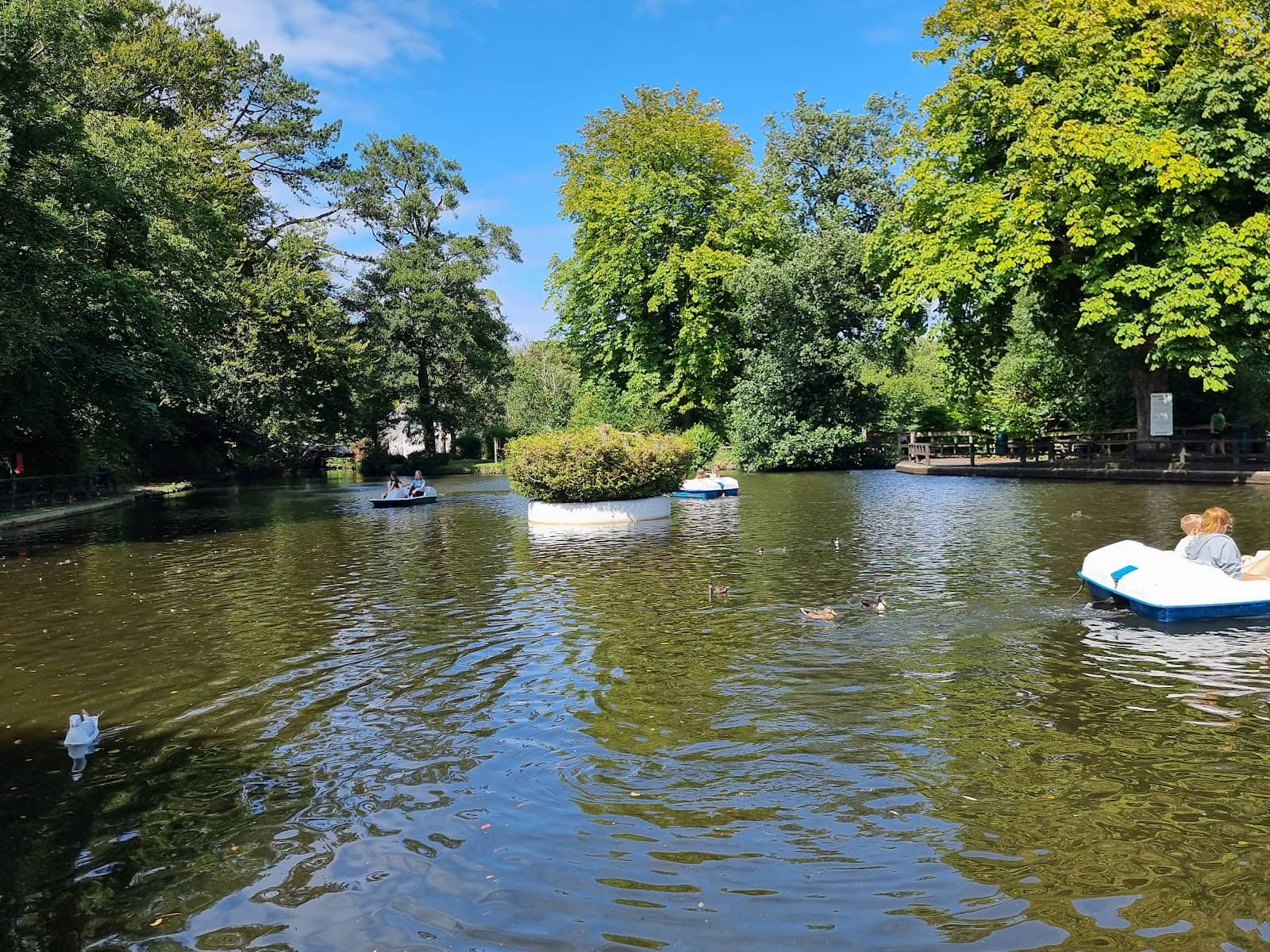 Pedal Boats on the Lake