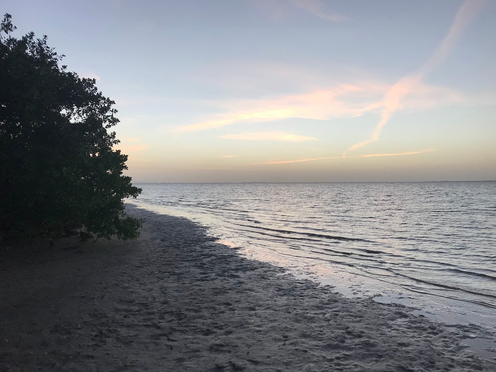 Courtney Campbell Trail and Causeway - Image 1