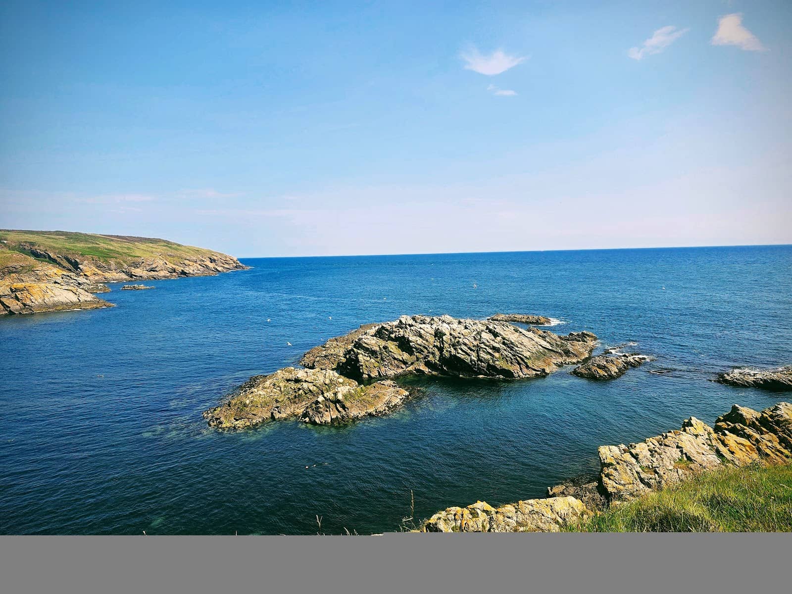 May Craig Views
