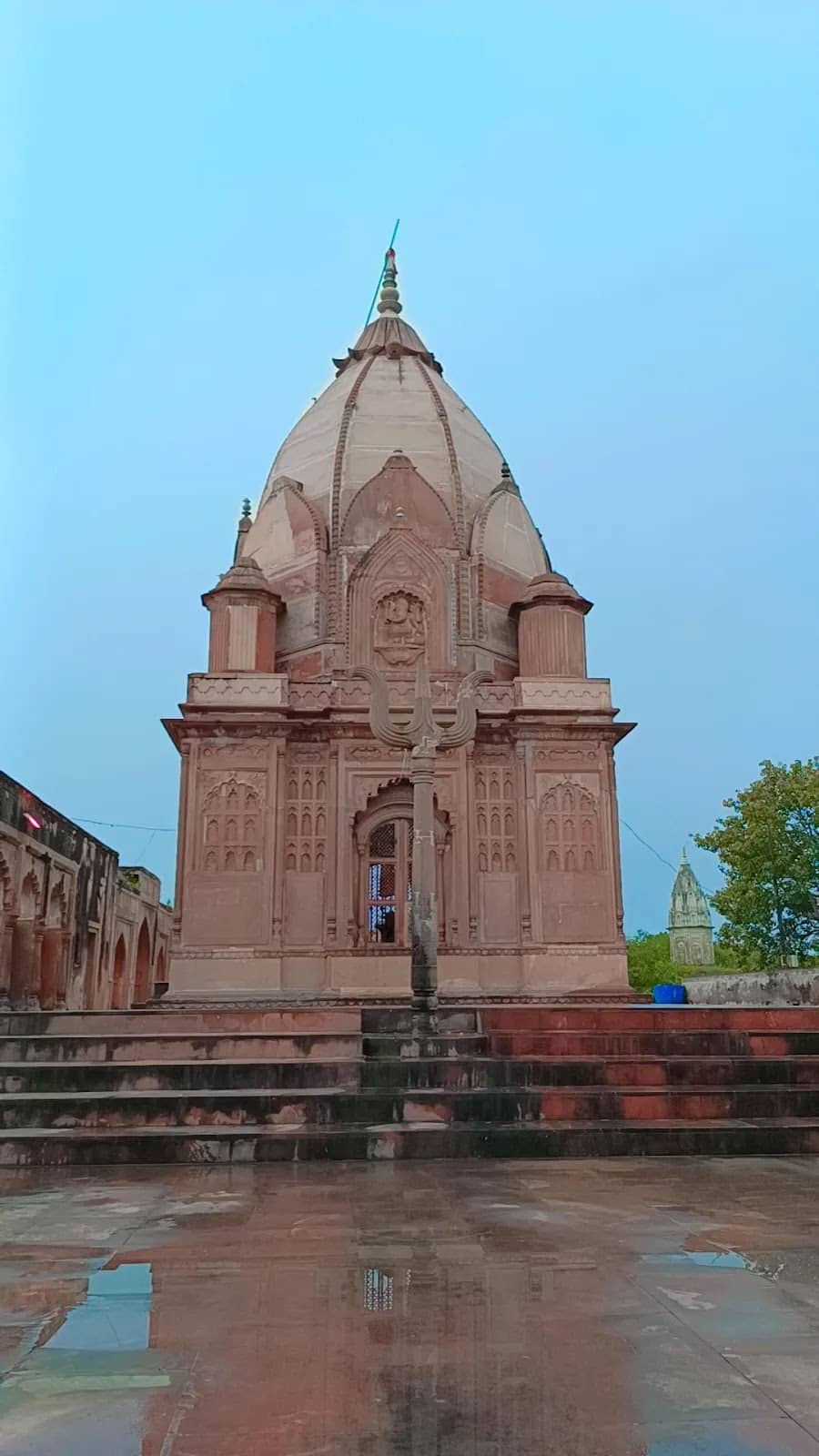 Vertical photo