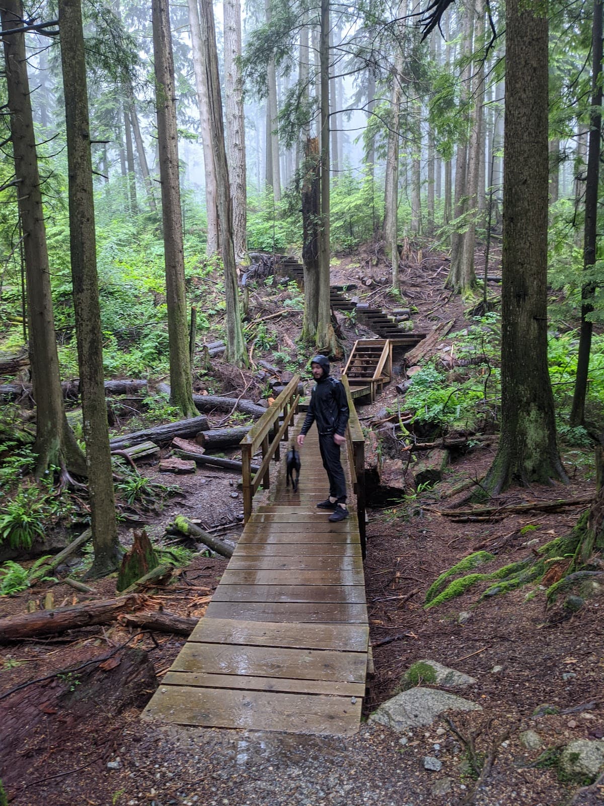 Baden-Powell Trail North Shore - Image 1