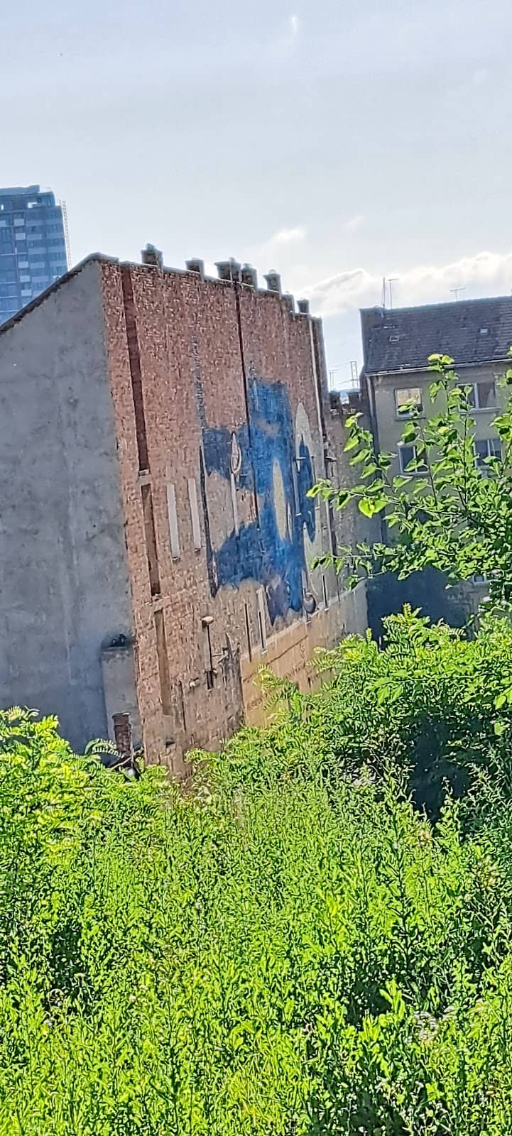 Vertical photo