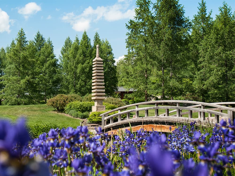 University of Alberta Botanic Garden - Image 1