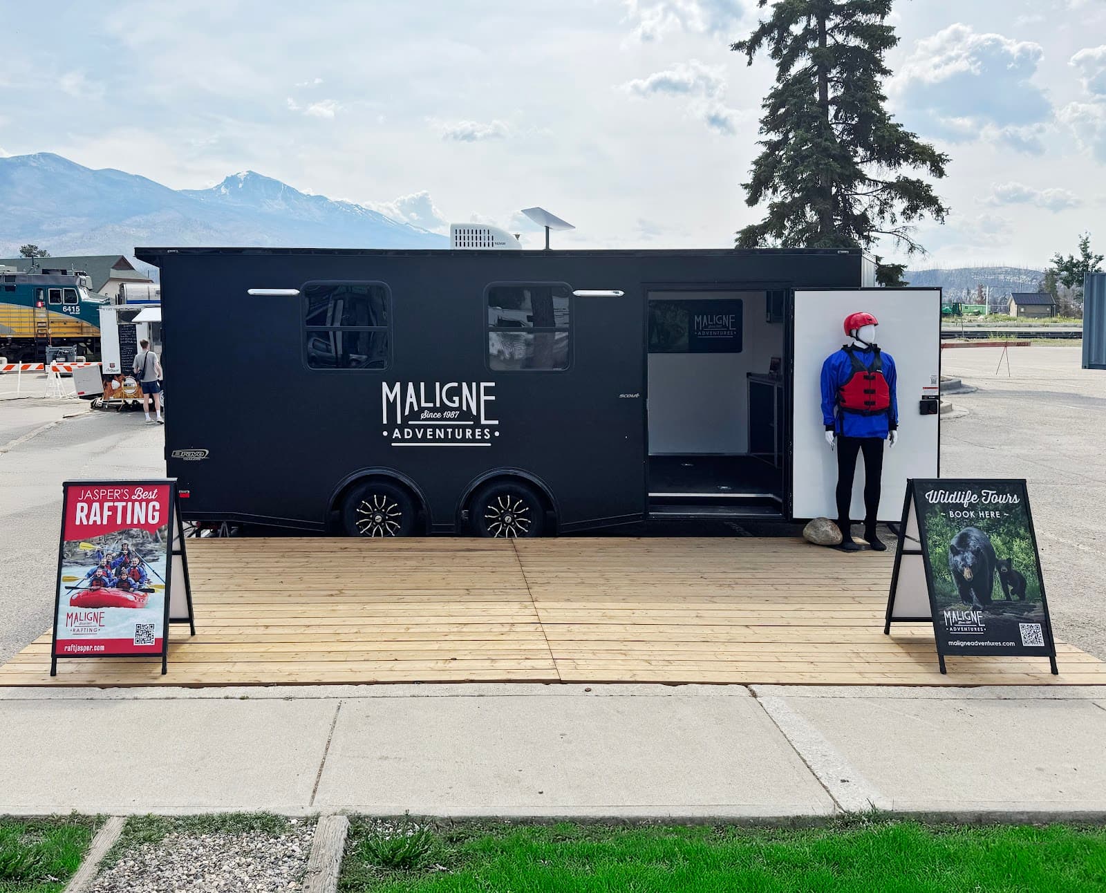 Jasper National Park Wildlife Tours - Image 1