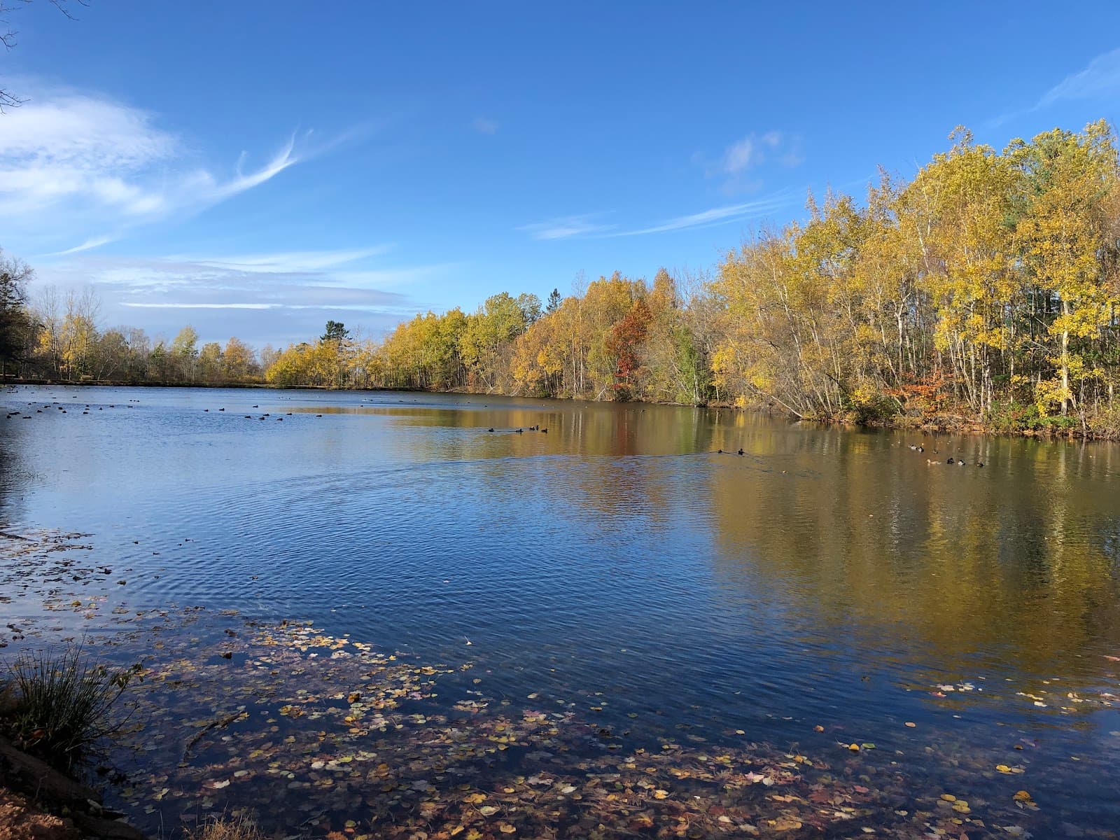 Reservoir Park (Wolfville) - Image 1
