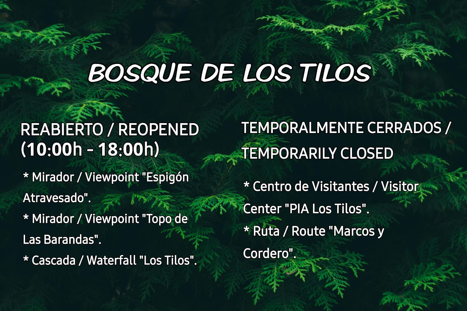 Los Tilos Forest - Image 1