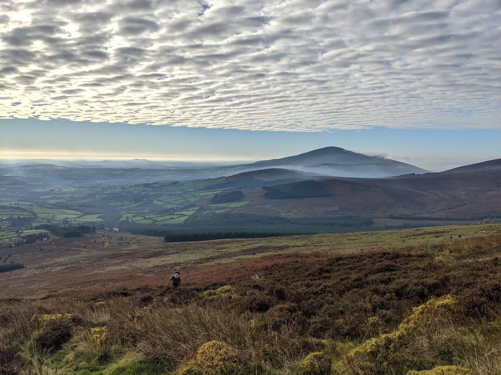 Blackstairs Mountains - Image 1