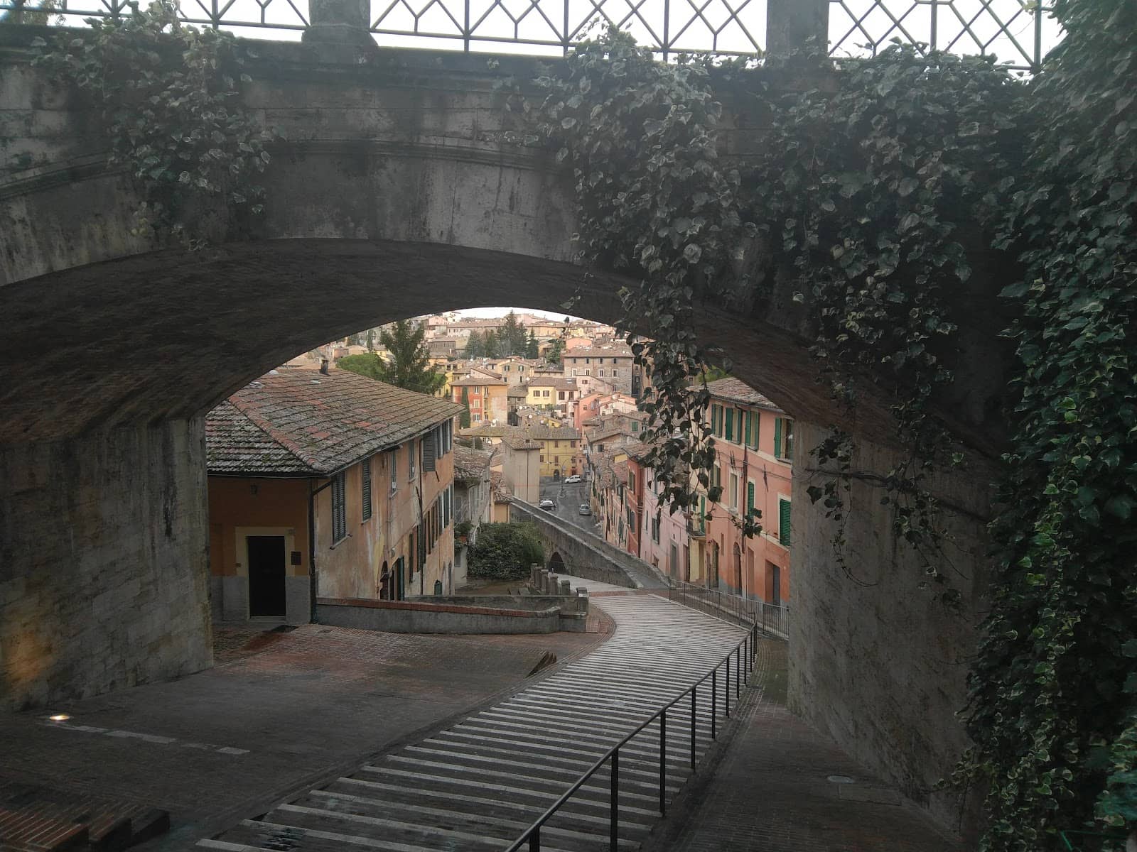 Vertical photo