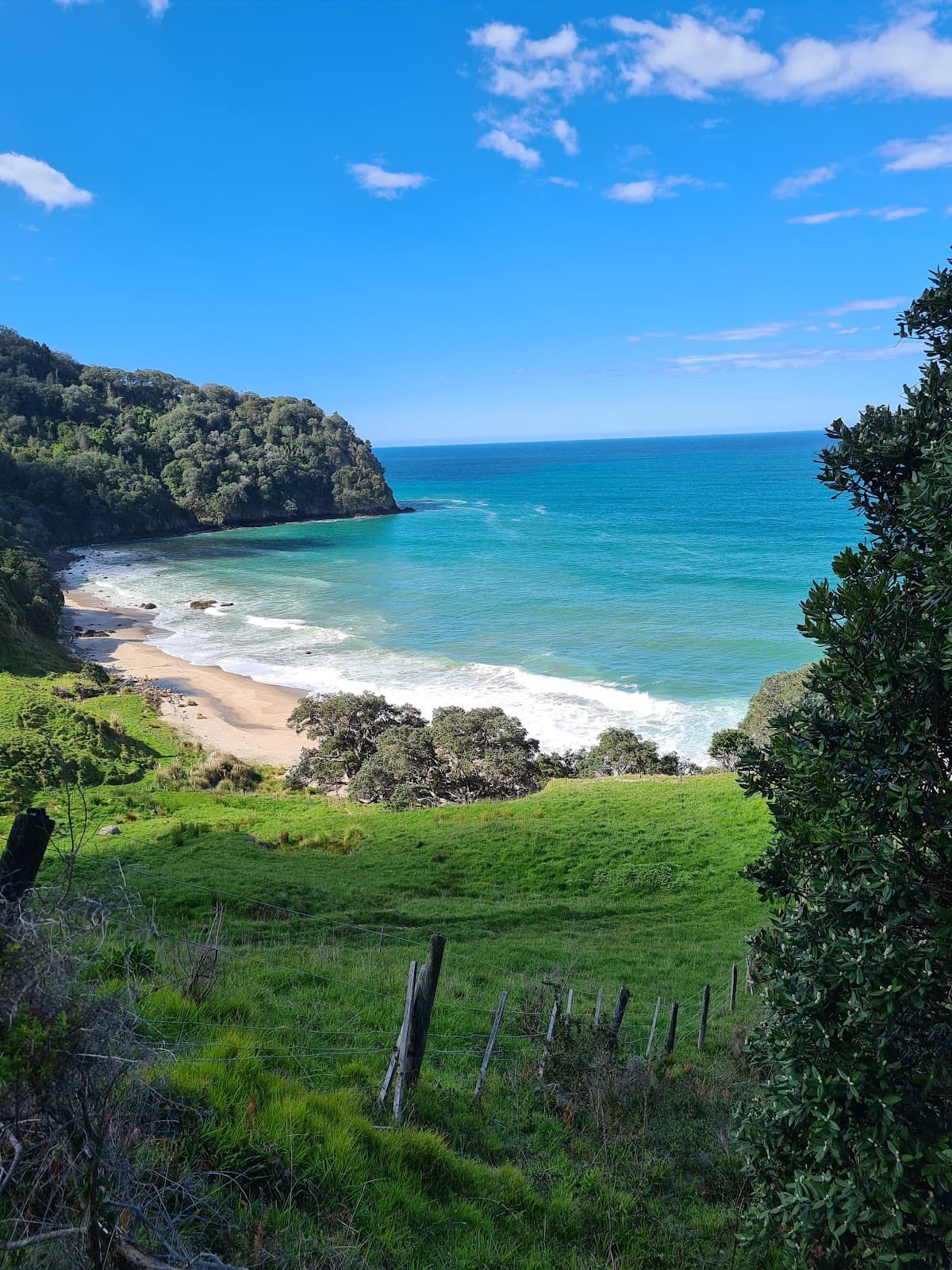 Homunga Bay - Image 1