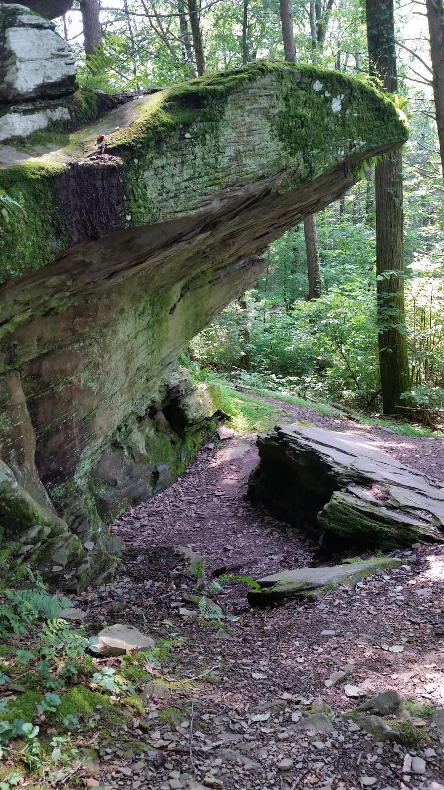 Frances Slocum State Park - Image 1