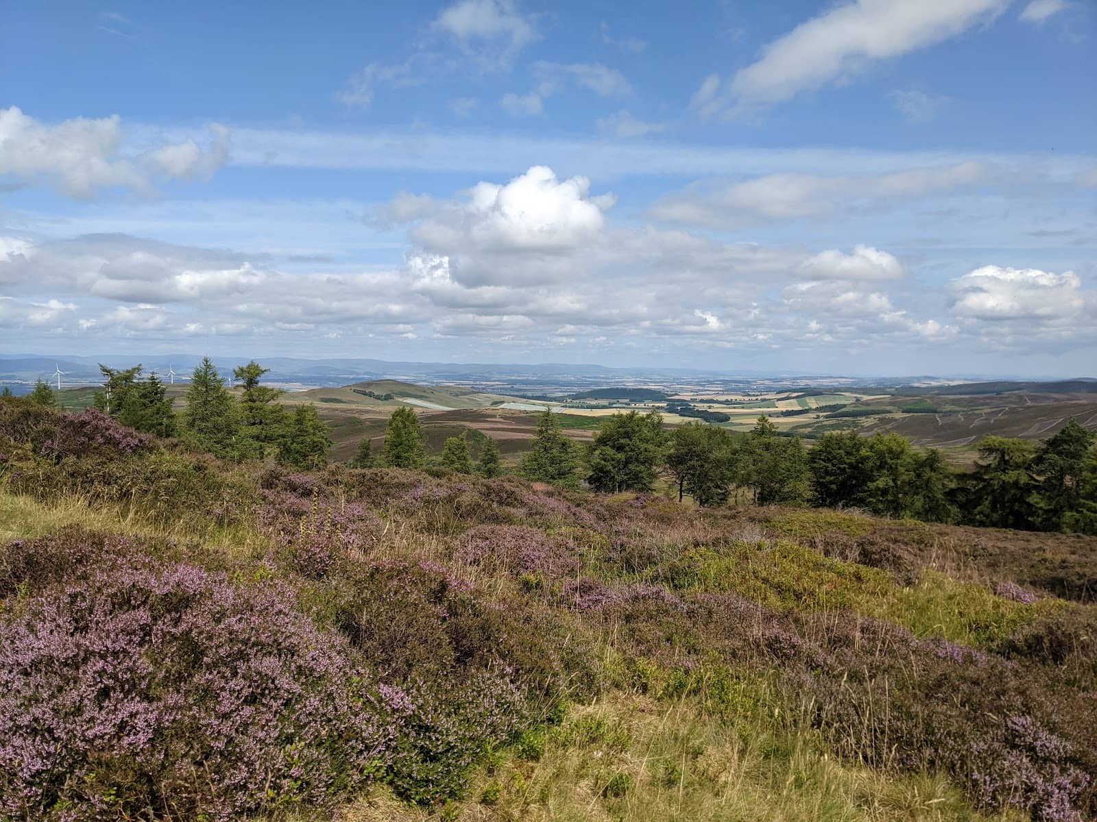 Tranquil Hill Walks