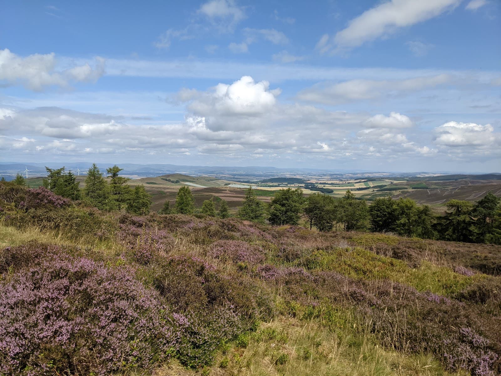 Sidlaw Hills - Image 1