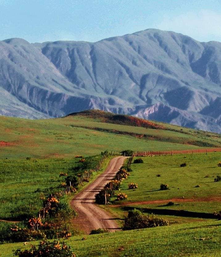 Local Artisan Crafts